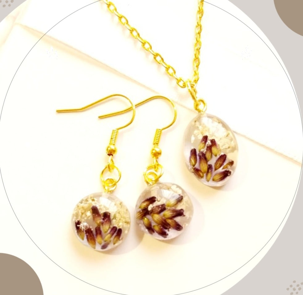 Komplet sivka in cvet divjega korena