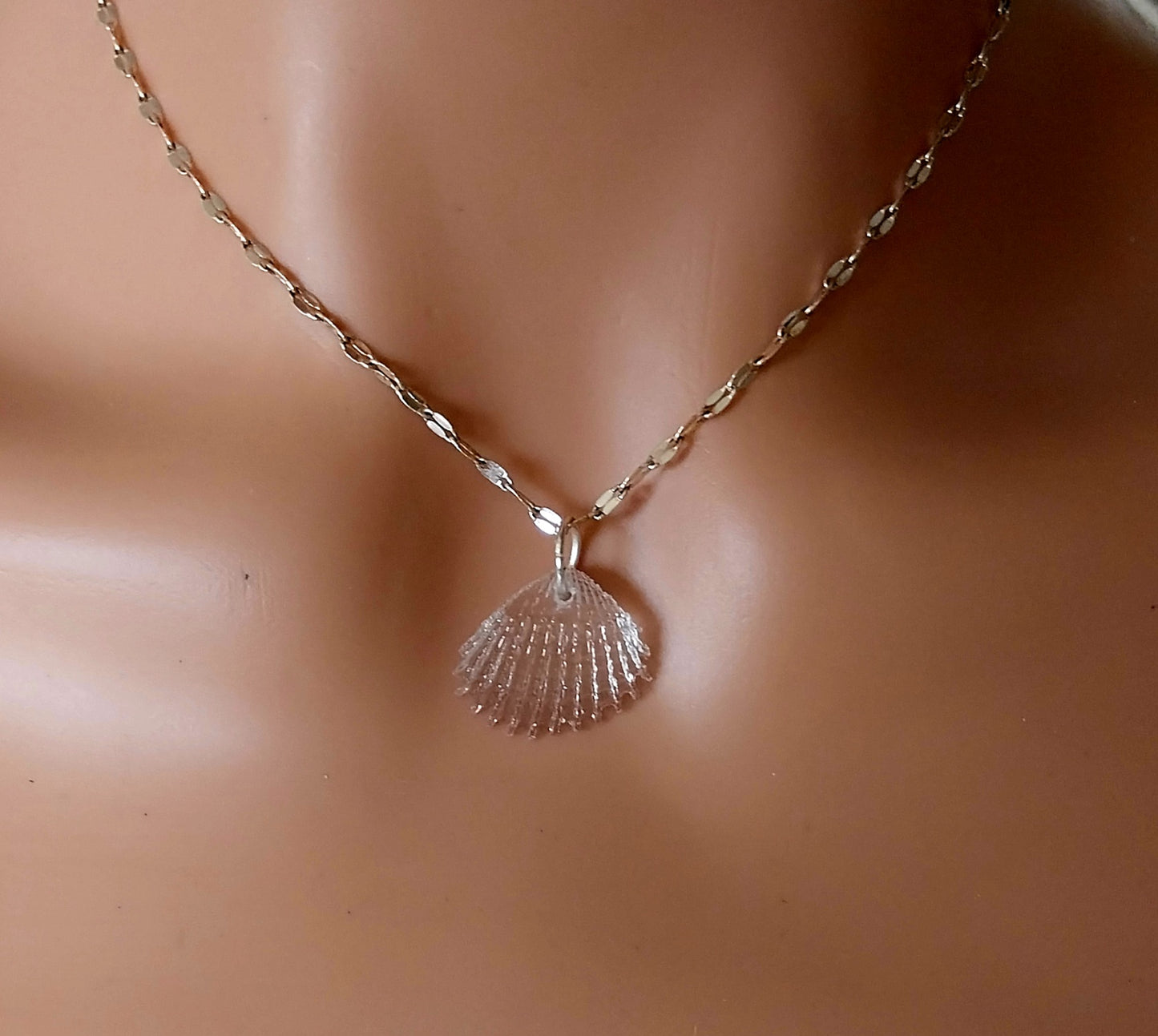 Srebrna verižica s školjko