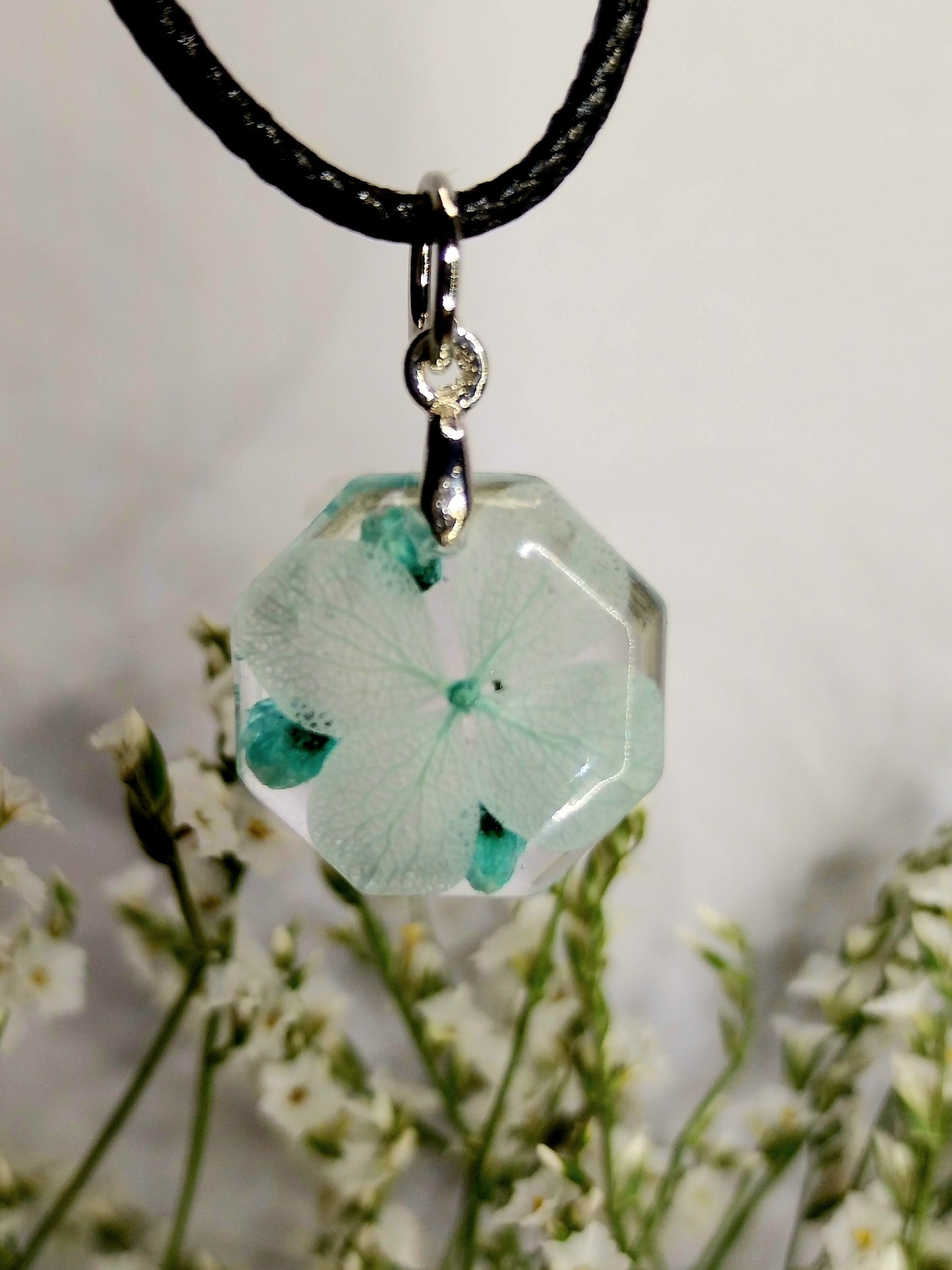 Hortenzija z dekorativnim cvetjem