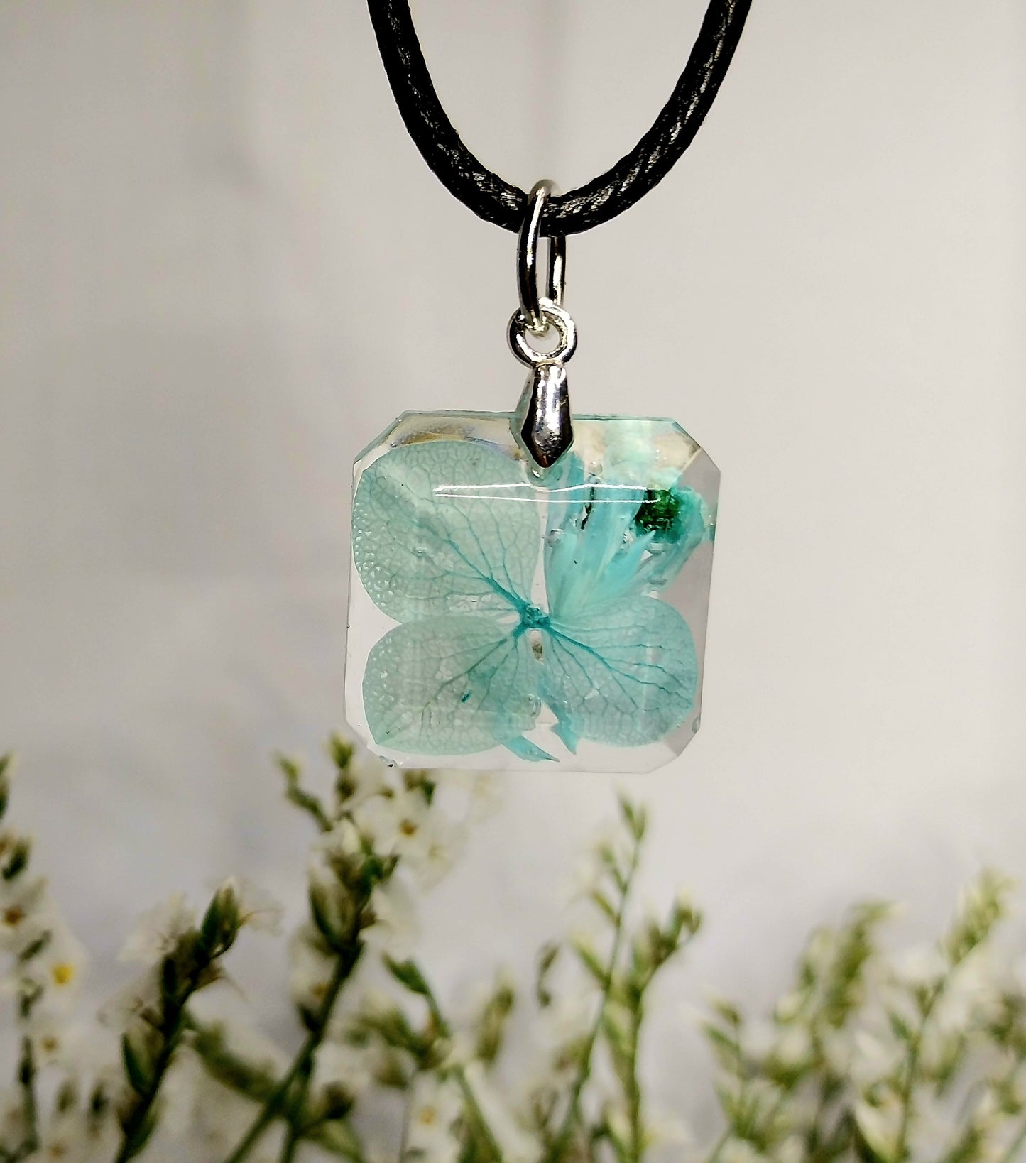 Hortenzija z dekorativnim cvetjem