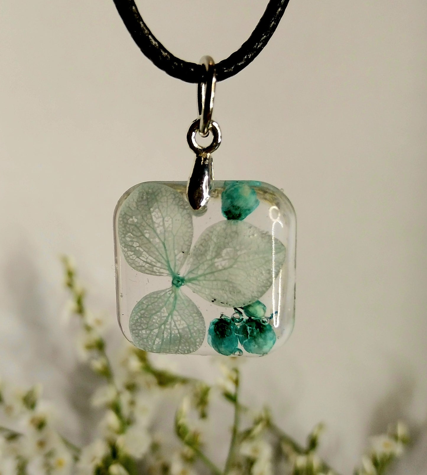 Hortenzija z dekorativnim cvetjem