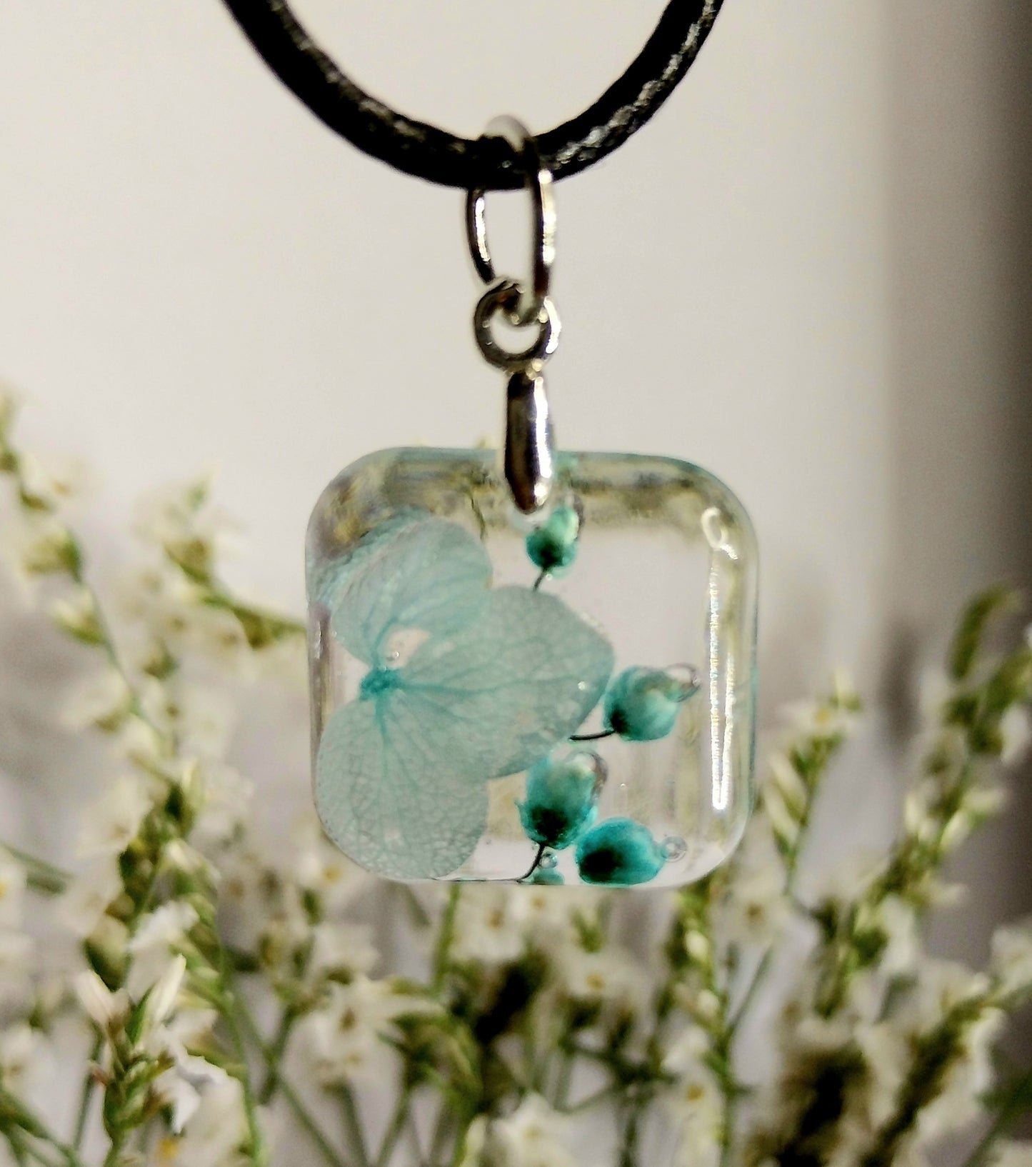 Hortenzija z dekorativnim cvetjem