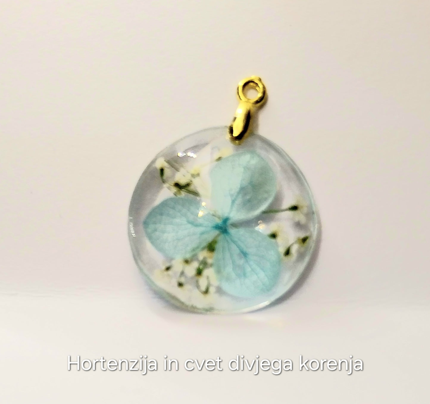 Hortenzija in cvet divjega korena