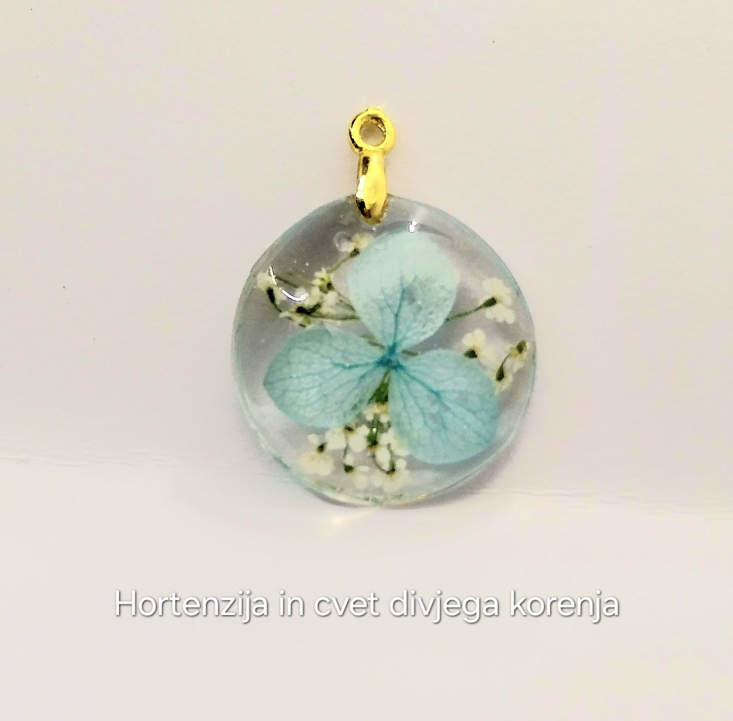 Hortenzija in cvet divjega korena