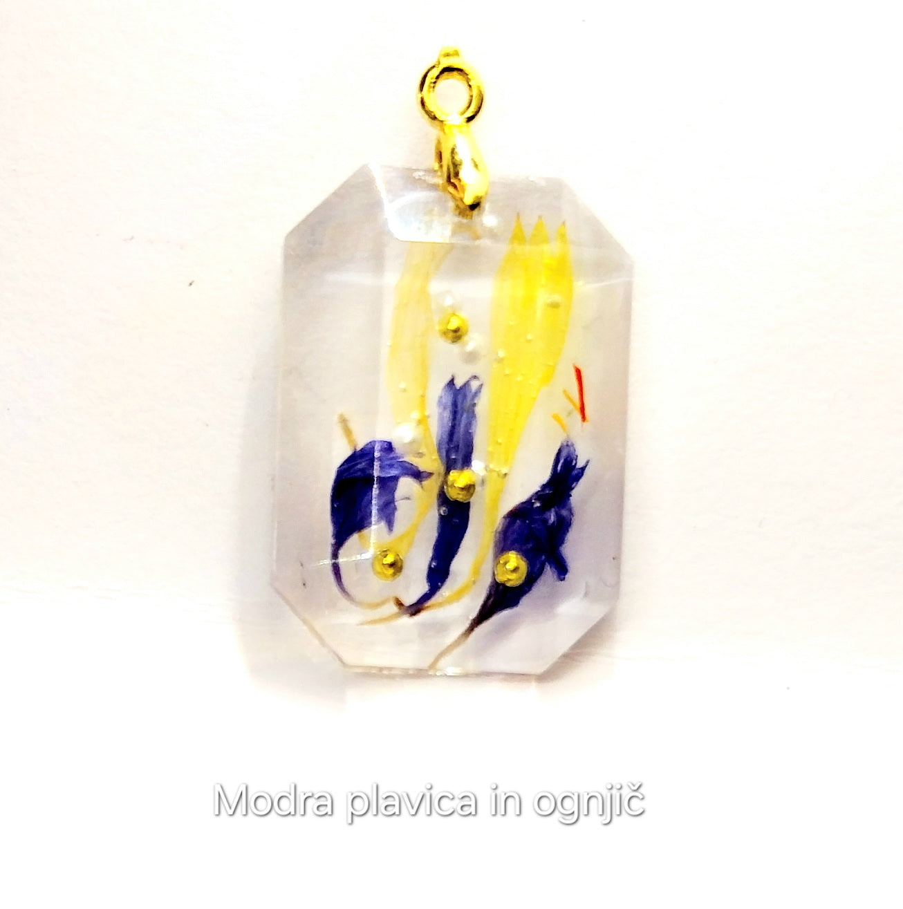 Modra plavica in ognjič