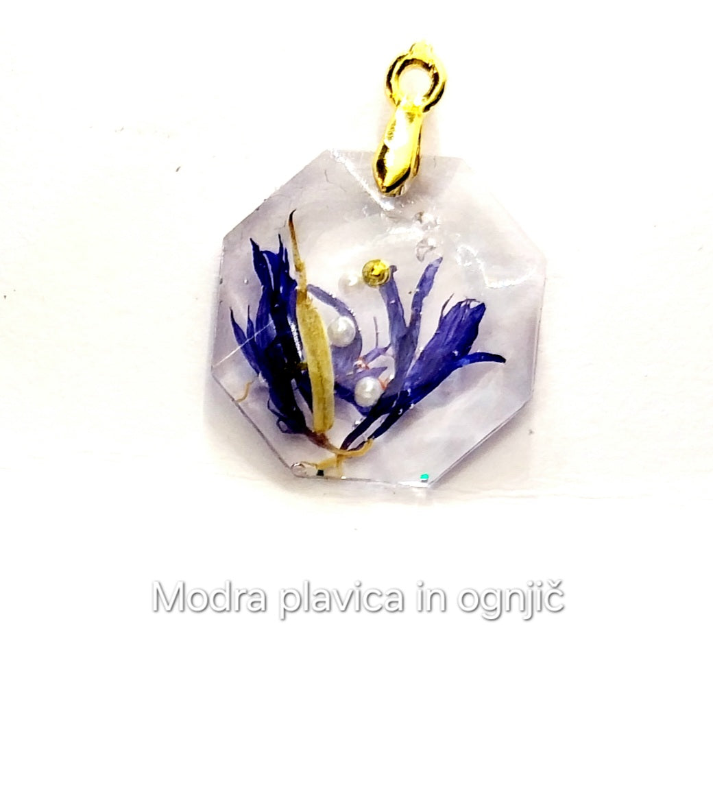 Modra plavica in ognjič