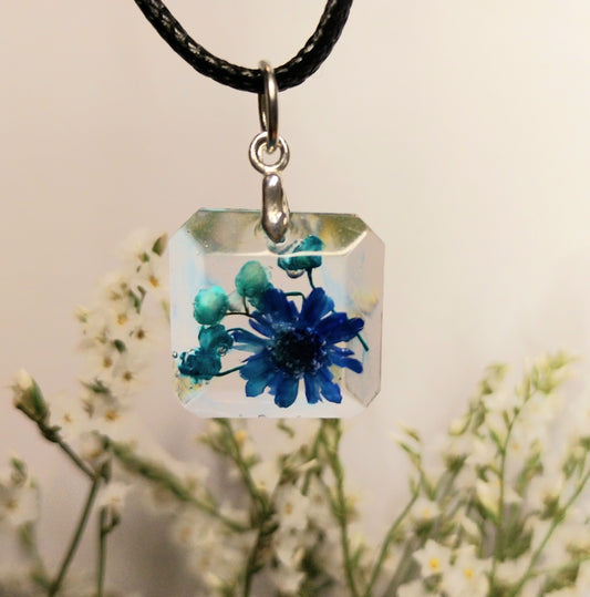 Brazilska mala zvezdica in šlajer