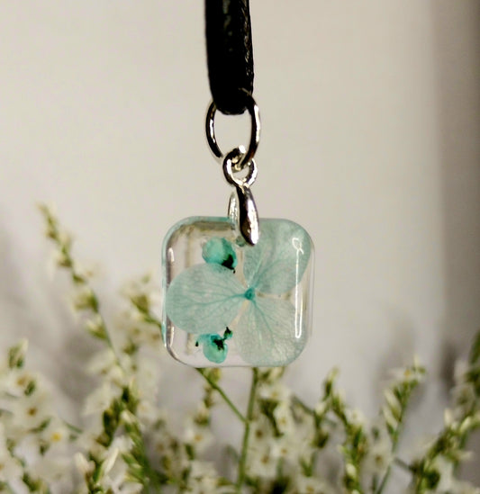 Hortenzija z dekorativnim cvetjem