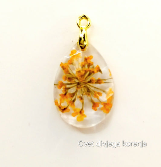 Cvet divjega korena