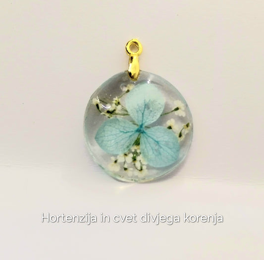 Hortenzija in cvet divjega korena