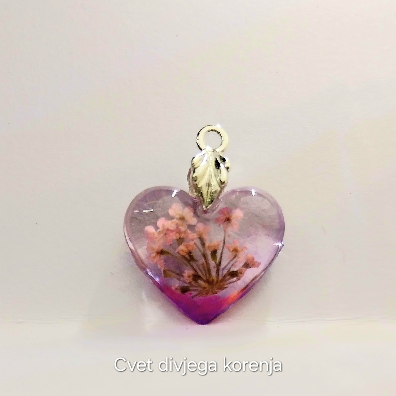 Cvet divjega korena(Daucus carota) – simbol nežnosti, zaščite in ženstvene moči. 🌸✨