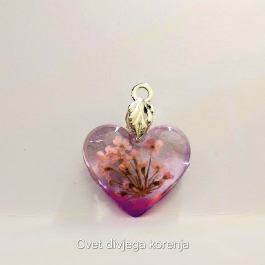 Cvet divjega korena(Daucus carota) – simbol nežnosti, zaščite in ženstvene moči. 🌸✨