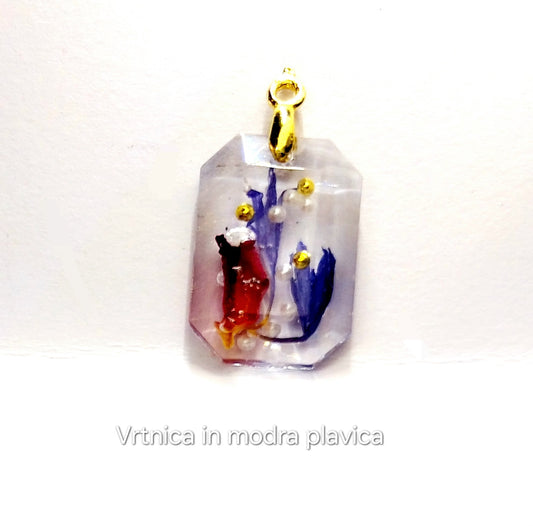 Vrtnica in modra plavica