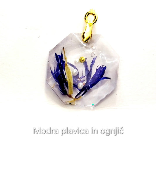 Modra plavica in ognjič